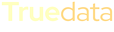 Truedata IT Services
